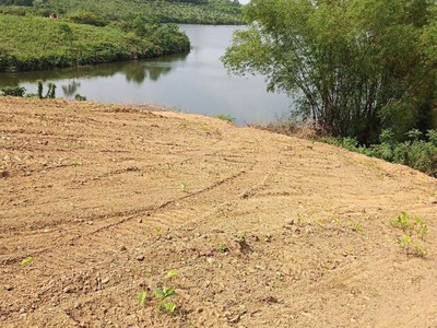 Tuyệt phẩm ngủ quên - lương sơn hòa bình - bám hồ - đường bê tông - giá rẻ 0