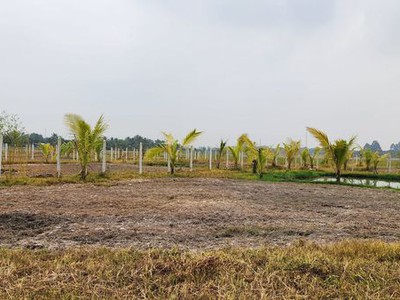 Chính chủ cần tiền kinh doanh nên cần bán gấp lô đất làm nhà vườn, kho, xưởng 1