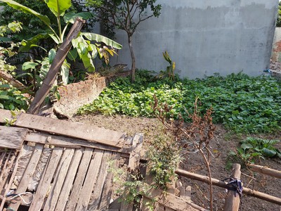 Bán đất bắc hồng 78m2, 5.3m, chỉ 1.65 tỷ, đông anh. 1