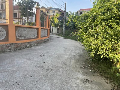 Bán đất bắc hồng 78m2, 5.3m, chỉ 1.65 tỷ, đông anh. 4