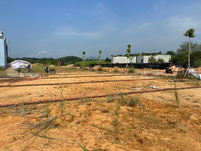 Cần bán loa cổ đang nghe tốt 7869
