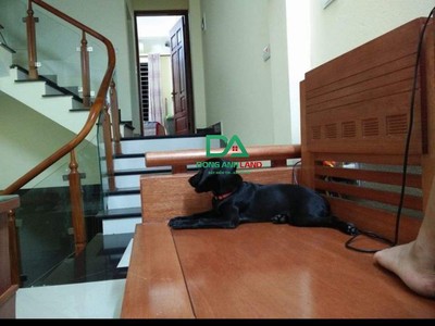 Bán nhà 5 tầng đẹp tại thị trấn đông anh  giá siêu rẻ nhỉnh 2 tỷ ​ 3