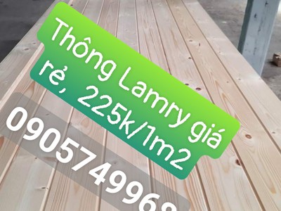 Bán gỗ thông lamry, gỗ thông nhập khẩu giá rẻ tại Đà Nẵng 0