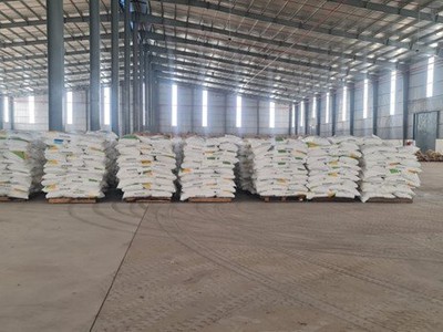 Cho Thuê Kho Xưởng 5000m2,KCN VSIP 1,Đại Lộ Độc Lập,An Phú,Thuận An,Bình Dương 1