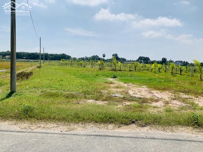 Đất tổng diện tích là 1070m2 giá bán 1 tỷ 750 triệu đất khá vuông vắn, đẹp. Mặt tiền đường nhựa 8m 0