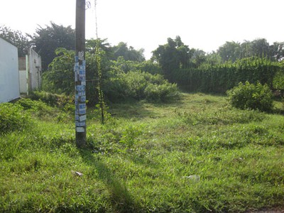 Bán mảnh vườn 1100m2 đường Cây Gõ, An Nhơn Tây, Củ Chi SHR giá 1,6Tỷ còn thương lượng 1