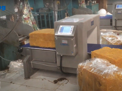 Máy dò kim loại công nghiệp CASSEL 2
