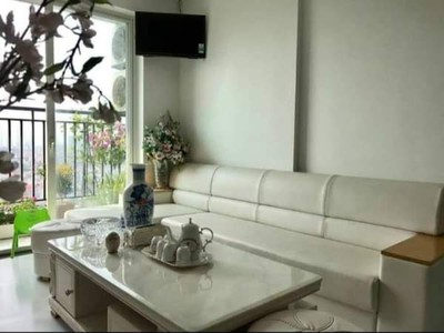 Cho thuê căn hộ SHP Plaza Lạch Tray giá chỉ từ 13tr/tháng 1
