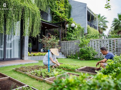 Biệt thự Hội An trong lòng di sản rừng dừa 3 tầng, 4PN giá tốt bất ngờ 7.x tỷ, đã có sổ đỏ 17