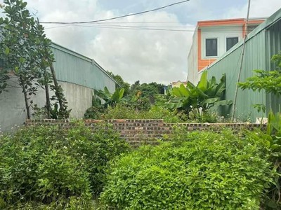 Đất vuông vắn cần ra gấp trong tuần này Bình Chánh 0
