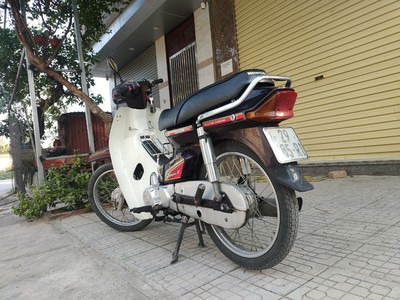 Dream Thái nguyên bản DREM DRIM biển 29 5