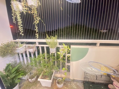 Bán bán gấp ở ngay , sạch đẹp tecco tower linh đông 79m2 - sổ hồng đầy đủ - tặng nội thất 1