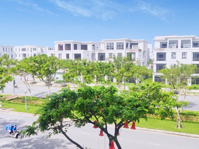Bán Đất Đường Hòa Minh 25 , Phường Hòa Minh , Quận Liên Chiểu , TP Đà Nẵng 4