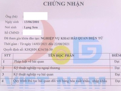 Thông báo tuyển sinh lớp Nghiệp Vụ Khai Hải Quan Điện Tử  học online 0