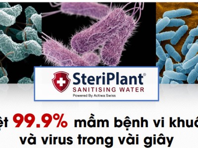 Steriplant nước sát khuẩn công nghê thụy sỹ 4