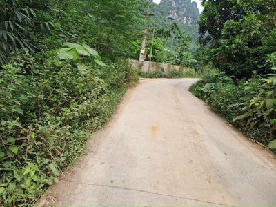 Cắt lỗ bán gấp trả nợ 1000m2 có 200m2 ont sổ hồng giá nhỉnh 800tr 1