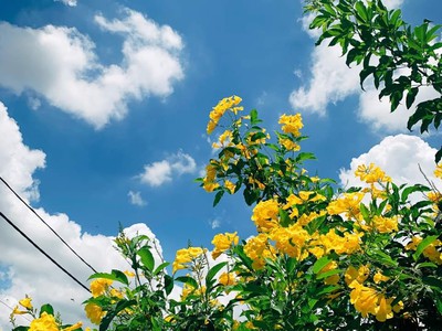 Chính chủ cần bán gấp lô đất nền vuông vắn Bình Chánh 1