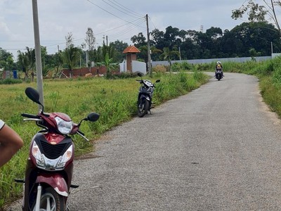 Chính chủ cần bán nhanh lô đất ngộp giá ngộp ngay định an - dầu tiếng - bình dương 4