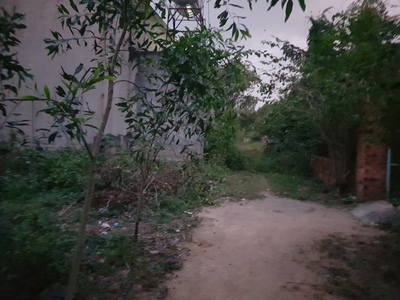 Đất định hoà, tdm, bd. Dt 494m2, tc 250m2. Nhánh dx81 2