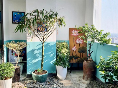 Bán căn hộ lô góc ngô thì nhậm 146m2, 3 ngủ, 2.x tỷ. 2