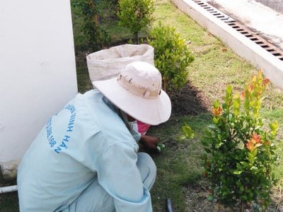 Tìm nơi chuyên chăm sóc cây xanh theo yêu cầu uy tín 0