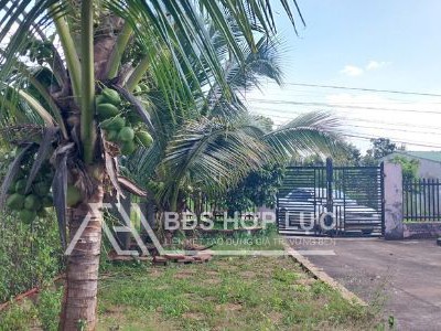 Nhà đất vườn cây ăn trái 1