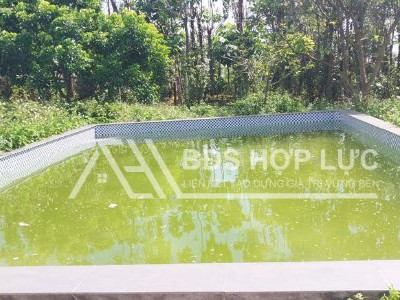 Nhà đất vườn cây ăn trái 4