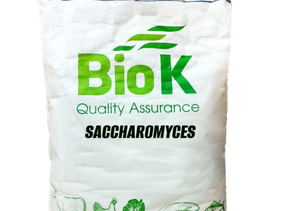 Saccharomyces: Cải thiện hệ tiêu hóa vật nuôi, ứng dụng trong làm bánh 0