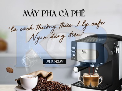 Máy pha cà phê R113 giá rẻ, chính hãng 1