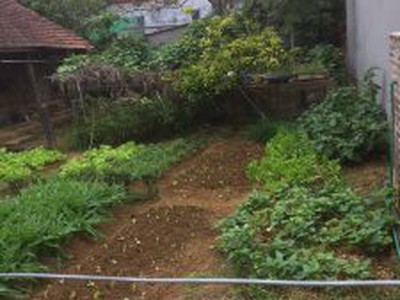 Chính chủ cần bán nhà đất mặt tiền vị trí đẹp tại tỉnh lai châu 2
