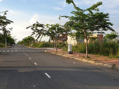 Tết đến xuân về Đón lộc tràn trề 1