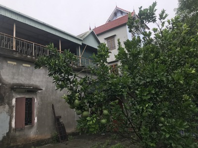 LƯƠNG SƠN ĐẤT RẺ GIẬT MÌNH 800m chỉ mấy tỏi 3