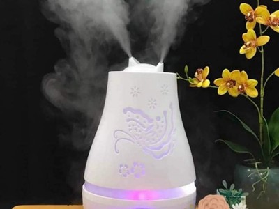 Cho thuê pjongf khép kín chính chủ t2 65