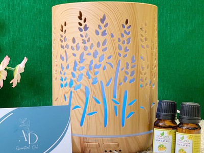 Cho thuê pjongf khép kín chính chủ t2 66
