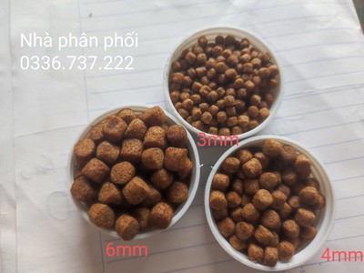 Cho thuê pjongf khép kín chính chủ t2 250