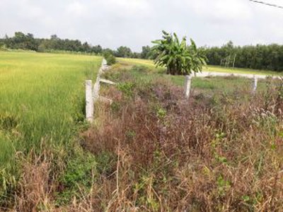 Cho thuê pjongf khép kín chính chủ t2 903