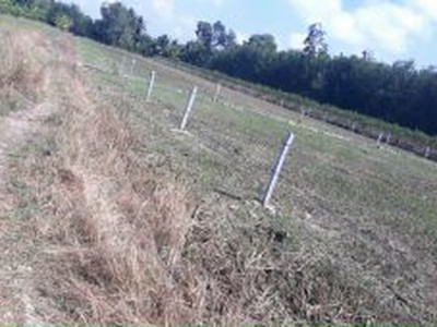 Cho thuê pjongf khép kín chính chủ t2 929