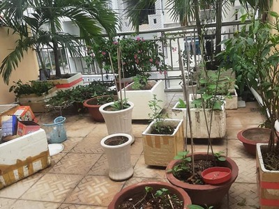 Cho thuê pjongf khép kín chính chủ t2 1215