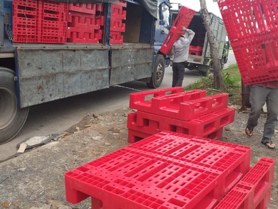 Bán pallet nhựa kê hàng giá cực rẻ tại Đà Nẵng 0