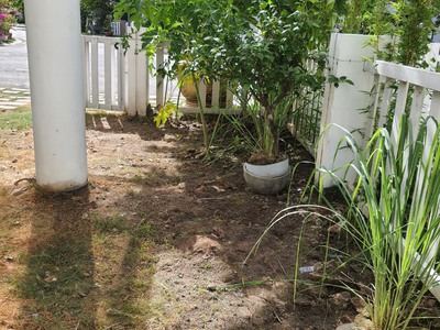 Cho thuê pjongf khép kín chính chủ t2 1343