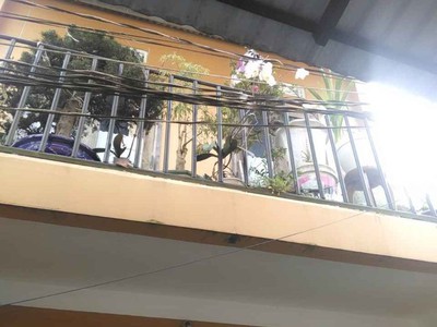 Cần tiền bán gấp nhà 14 đường triệu việt vương, phường 4, đà lạt, lâm đồng 2