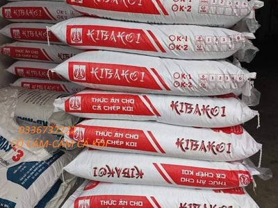 Cho thuê pjongf khép kín chính chủ t2 2629