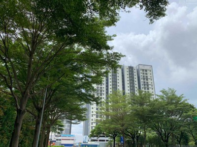 Cho thuê pjongf khép kín chính chủ t2 2338