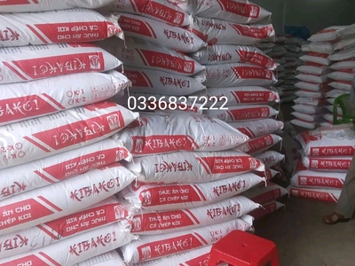 Cho thuê pjongf khép kín chính chủ t2 2619