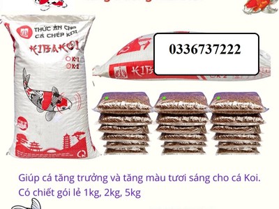 Cho thuê pjongf khép kín chính chủ t2 2788