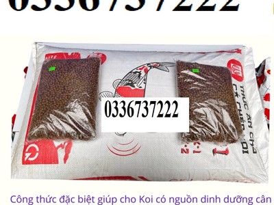 Cho thuê pjongf khép kín chính chủ t2 2789