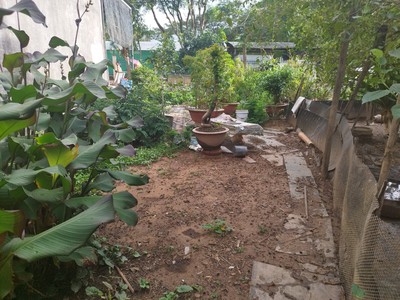 Cho thuê pjongf khép kín chính chủ t2 3723