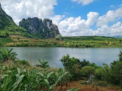 Cho thuê pjongf khép kín chính chủ t2 3454