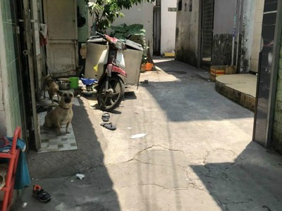 Cho thuê pjongf khép kín chính chủ t2 4237