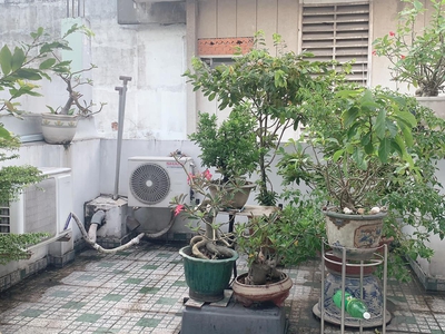 Cho thuê pjongf khép kín chính chủ t2 4229
